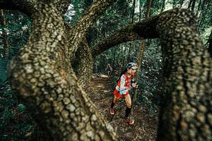 BIB: 
                            <button type="button" onclick="openModal(25392622)" class="btn btn-primary btn-sm float-right btn-popup" data-toggle="modal" data-target=".modal-high-quality">
                        <i class="fas fa-shopping-cart"></i> Add to Cart
                    </button>
                                            <button type="button" onclick="isThisMe(25392622, true)" class="btn btn-success btn-sm float-right btn-popup btn-isme hidden" data-toggle="tooltip" data-placement="bottom" title="นี่คือรูปของคุณใช่ไหม คลิกที่นี่เพื่อเอาเข้าอัลบั้ม">
                        <i class="fas fa-plus"></i> Add to album
                    </button>
                    <button type="button" onclick="isThisMe(25392622, false)" class="btn btn-warning btn-sm float-right btn-popup btn-isnotme hidden">
                        <i class="fas fa-ban"></i> Remove from album
                    </button>